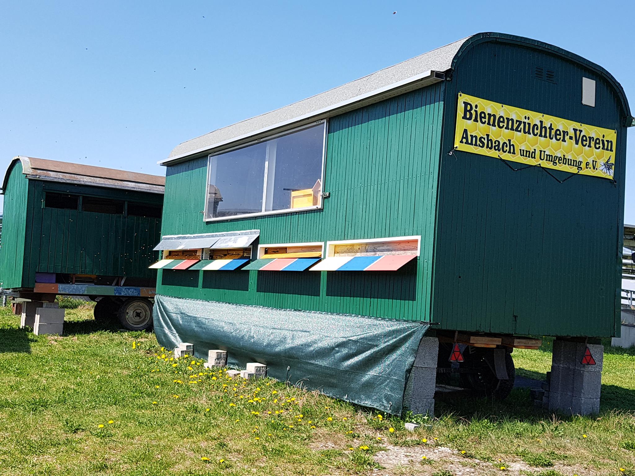 Frühjahrsputz Lehrbienenstand